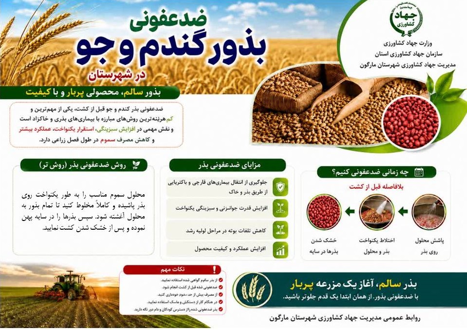 ضدعفونی بذور گندم و جو